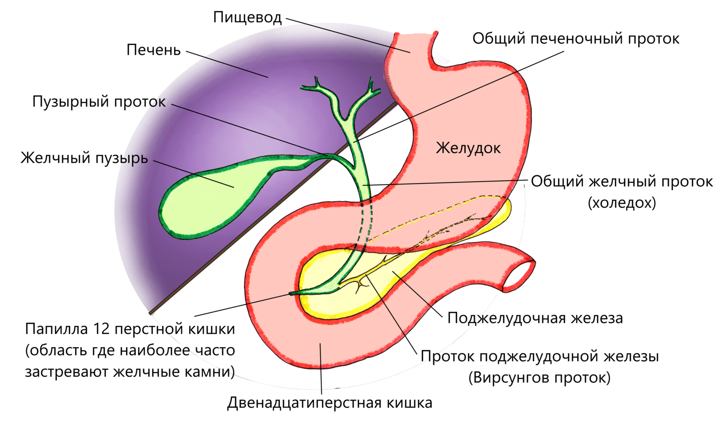Как устанавливают дренаж
